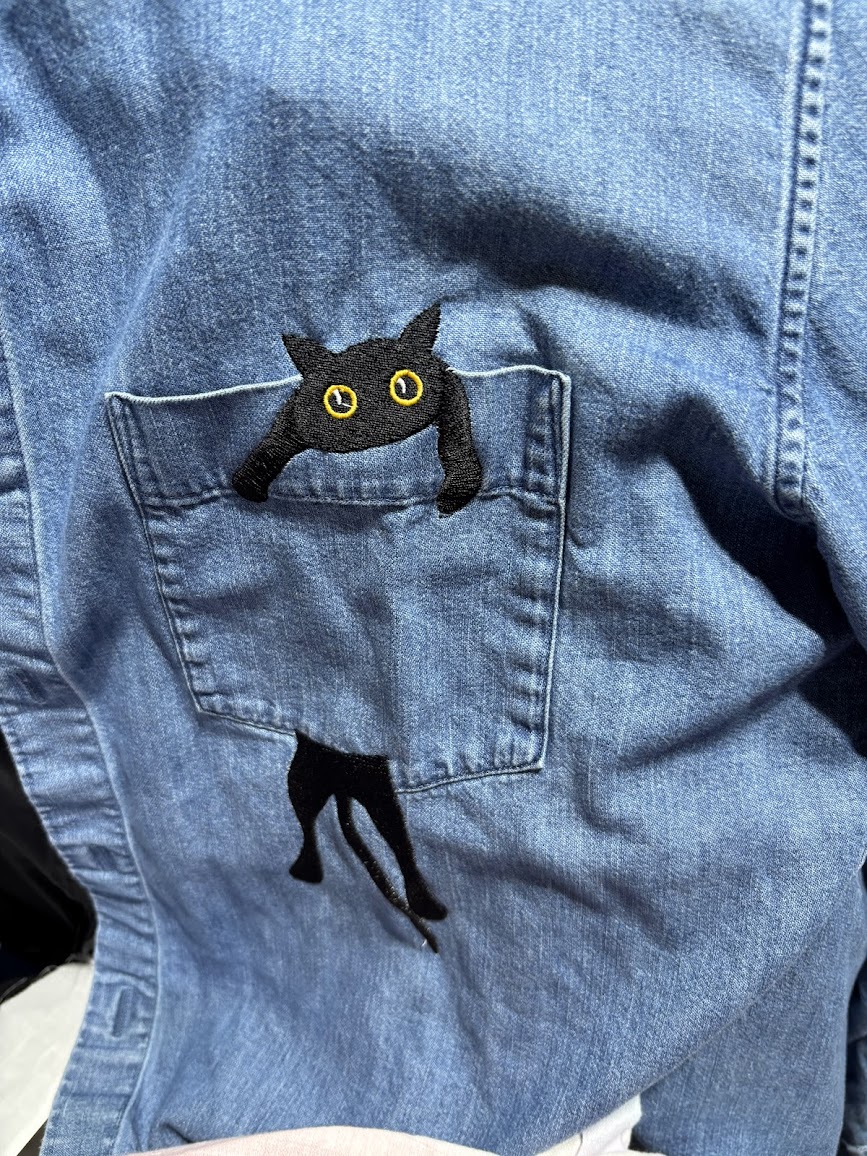 Cat in pocket shirt